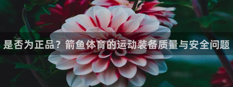 一竞技官方正版app神州：是否为正品？箭鱼体育的运动装备质量