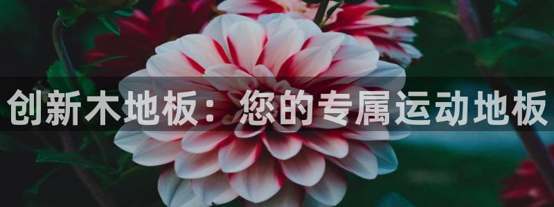 一竞技官方正版app娱乐首页官网下载：创新木地板：您的专属运