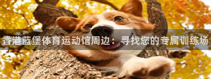 一竞技官网下载招商电话是多少号码：香港蓝堡体育运动馆