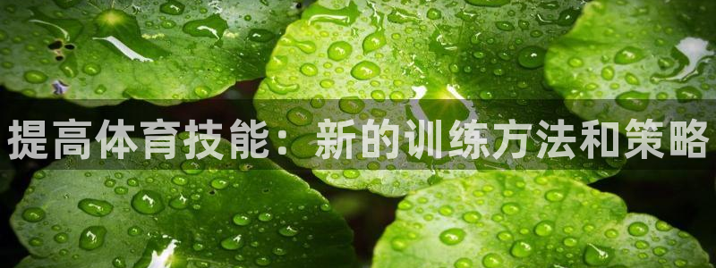 一竞技官网下载娱乐：提高体育技能：新的训练方法和策略