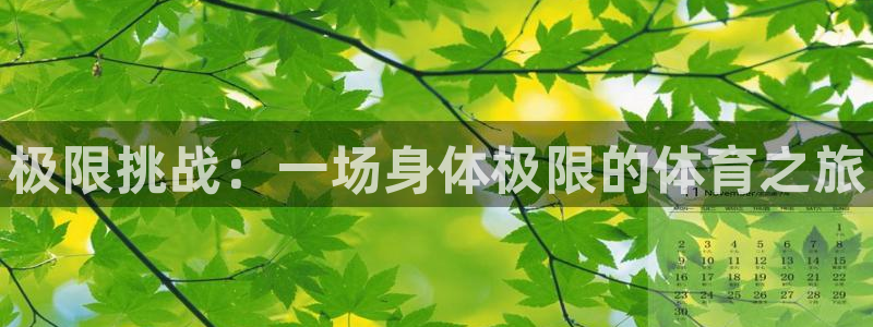 一竞技官网下载软件：极限挑战：一场身体极限的体育之旅