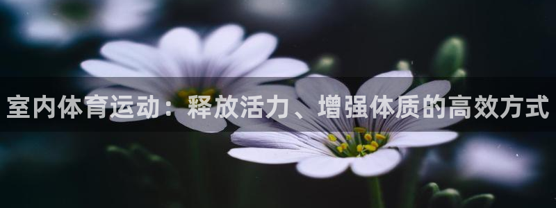 一竞技官方正版app集团简介：室内体育运动：释放活力、增强体
