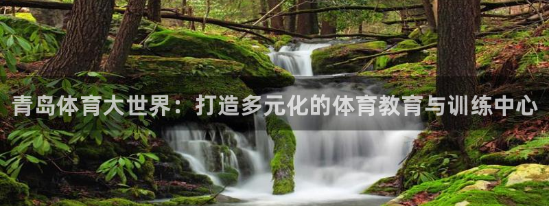 德国一竞技官方正版app集团：青岛体育大世界：打造多元化的体