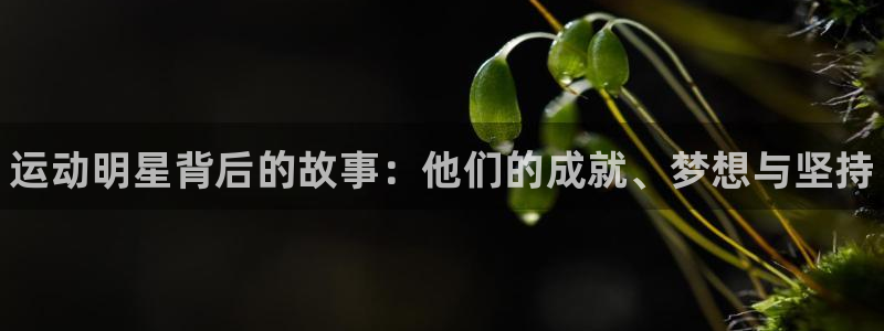 一竞技官网下载娱乐：运动明星背后的故事：他们的成就、梦想与坚