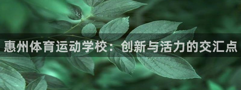 一竞技官网下载招商电话地址是多少：惠州体育运动学校：