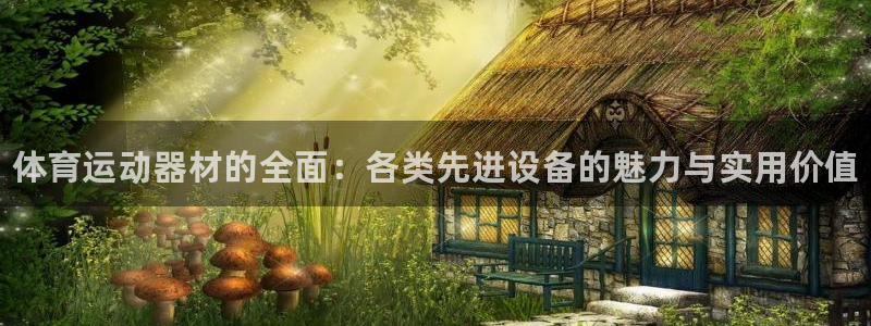 一竞技官方平台体育：体育运动器材的全面：各类先进设备