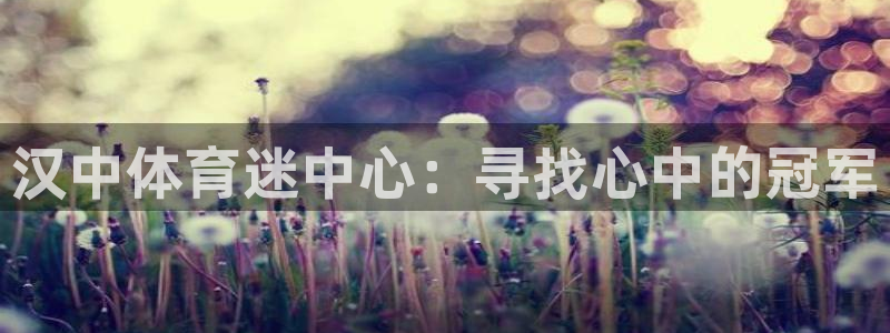 一竞技官方正版app神州：汉中体育迷中心：寻找心中的