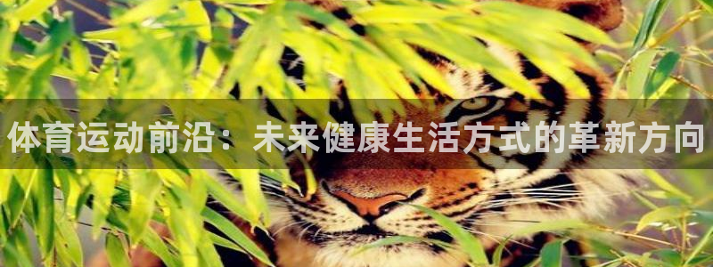 海南一竞技官网下载发展怎么样