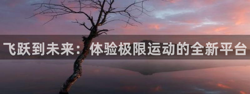 海南一竞技官网下载：飞跃到未来：体验极限运动的全新平台