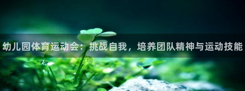 一竞技官方正版app五金厂：幼儿园体育运动会：挑战自我，培养