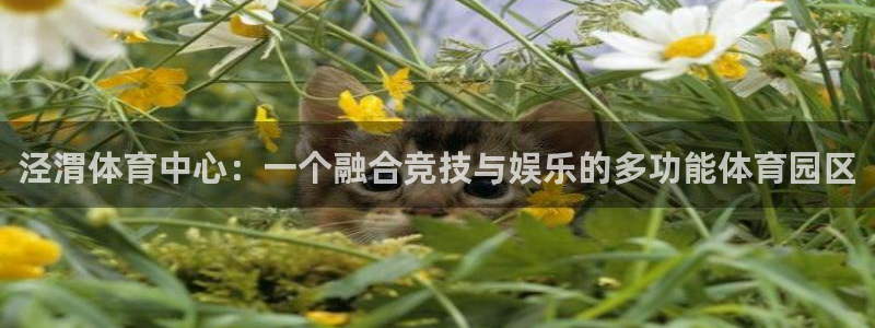 一竞技官网下载招商电话号码查询：泾渭体育中心：一个融合竞技与