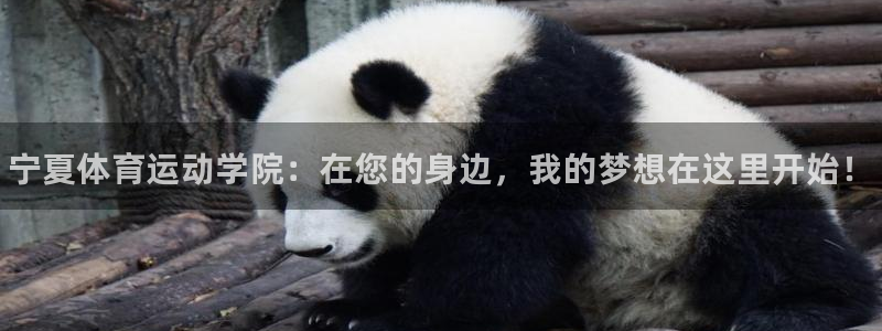 一竞技官方正版app集团logo：宁夏体育运动学院：在您的身
