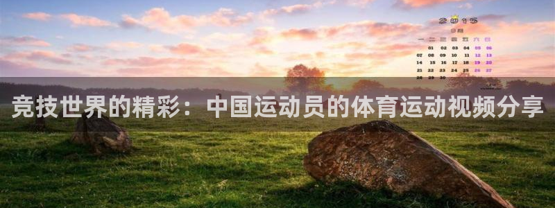 一竞技官网下载平台注册流程视频