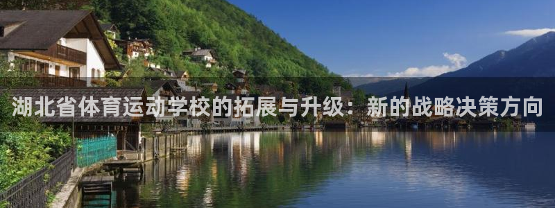 一竞技官网下载开户：湖北省体育运动学校的拓展与升级：新的战略