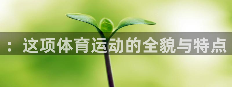一竞技官方正版app集团logo：：这项体育运动的全貌与特点