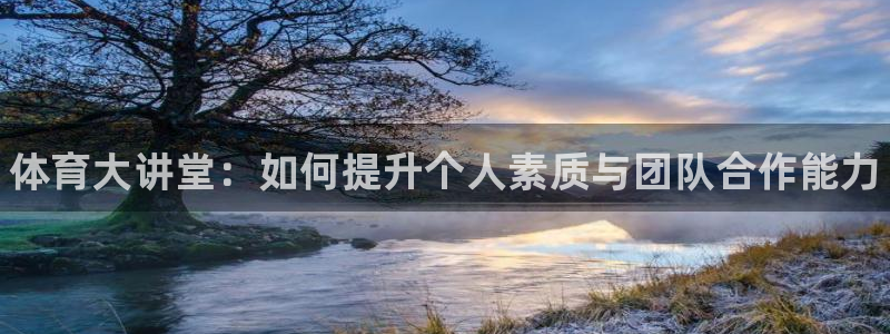 德国一竞技官方正版app集团